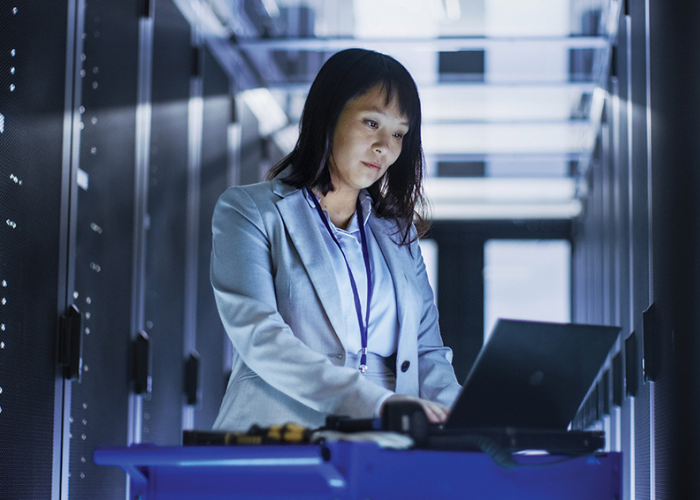 Altair SLC™ with Fully Integrated SAS Language Compiler