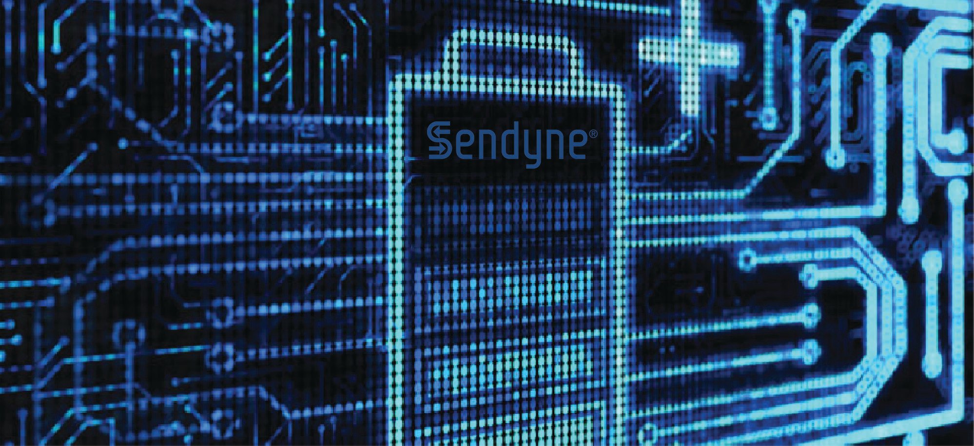Sendyne Webinar Banner