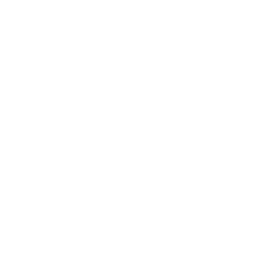 icon-optimization_400px-white