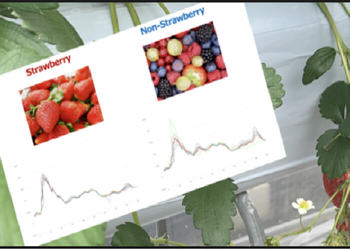 Learning-subscription_Course_bigger_irspectrum