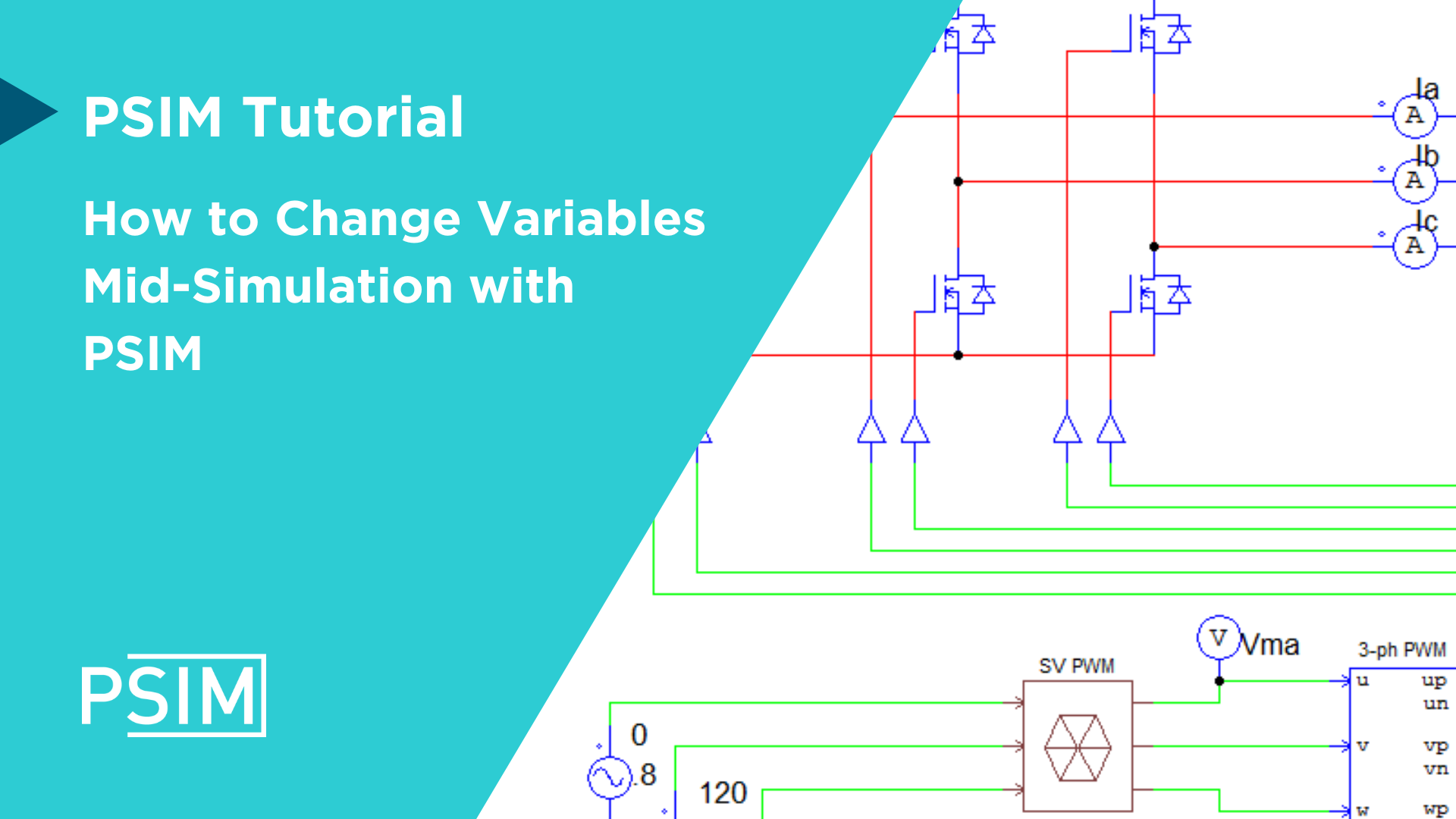 PSIM Variables