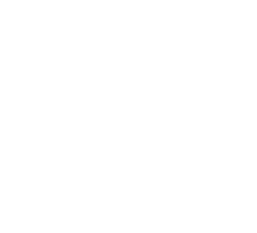 icon-audit_800px-white