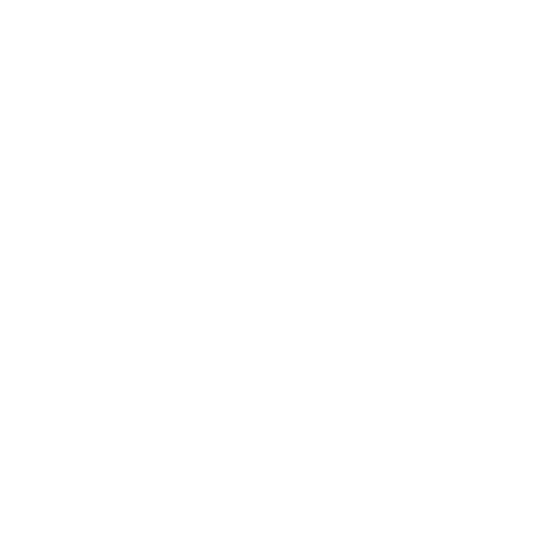 icon-mentor-program_800px-white